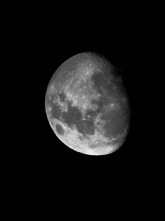 Dobson TS (GSO) deluxe 254 Ez push to.