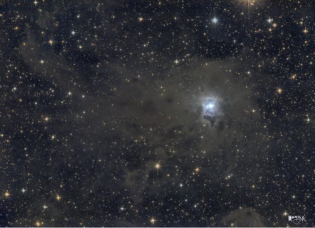 Iris ngc 7023