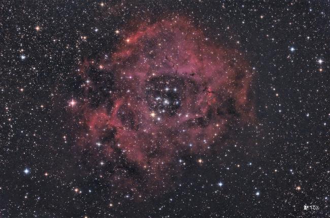 The skull, la rosette