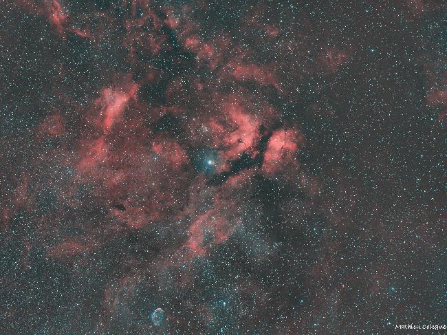 Région du Cygne (SADR)