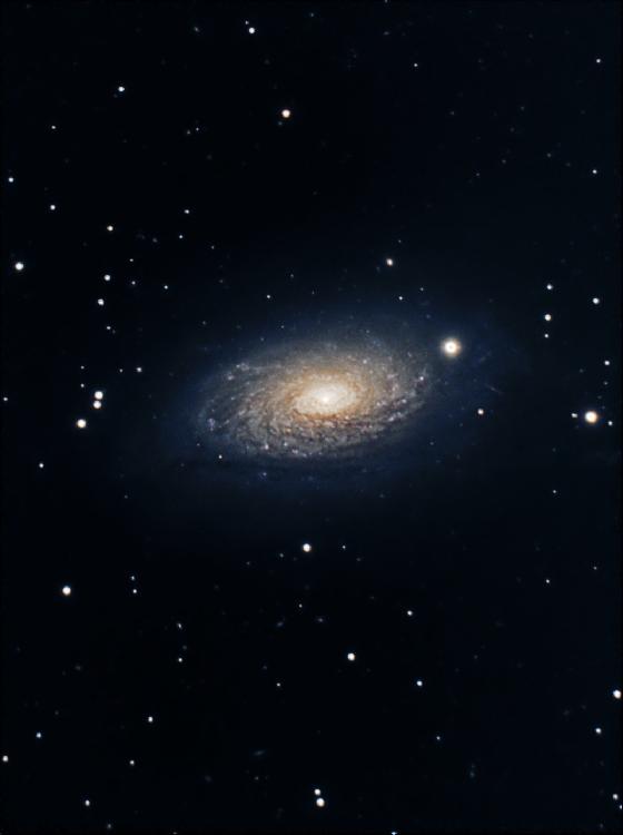 Caméra Atik Infinity Couleur