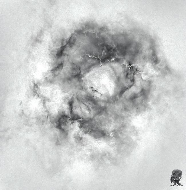 AstroArt autour de la Rosette