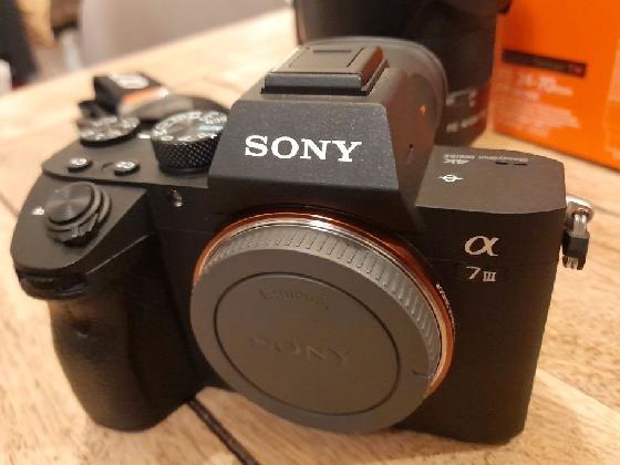Sony Alpha 7 III + Objectif Zeiss
