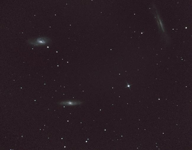 TripletDuLion_23032019