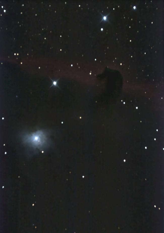 Nebuleuse tête de cheval