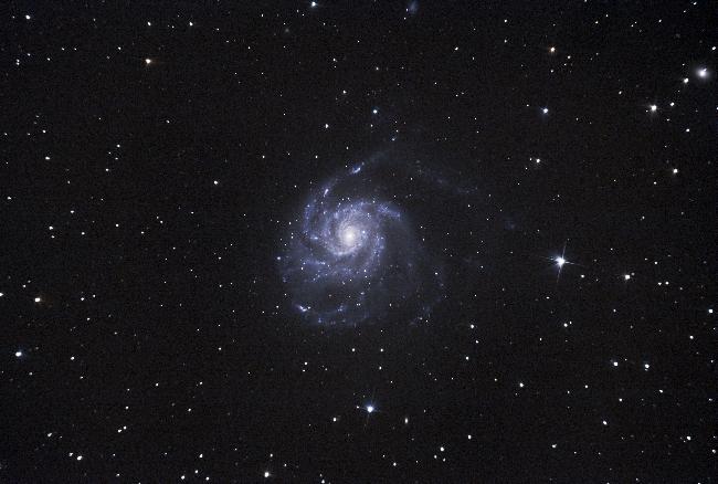 Galaxie du Moulinet (M101)
