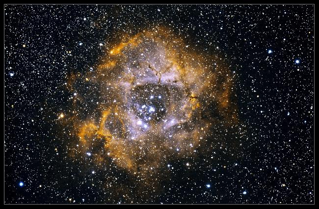 Nébuleuse de la Rosette NGC 2244