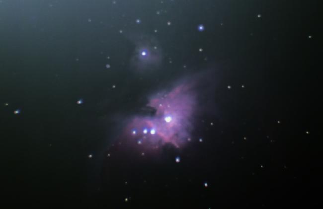 M42 livestack Sharpcap