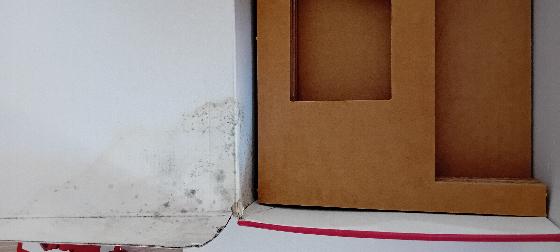 SESTO SENSO 2 + adaptateur PO 33mm