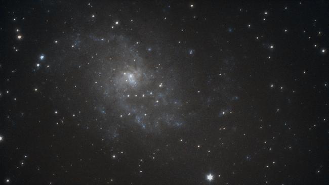 M33