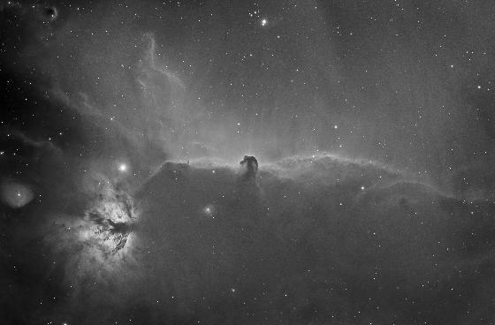 Roue à filtres ZWO 8x1.25" avec filtres LRGBSHO Astrodon