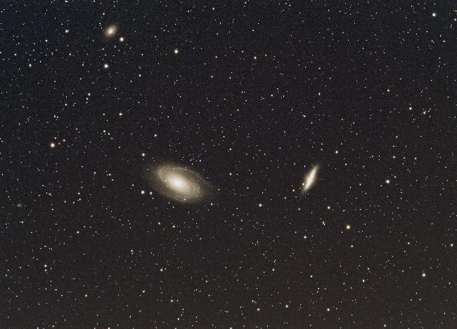 M81