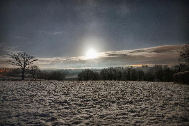 Neige au clair de Lune 