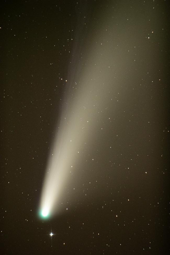 Neowise au Newton 254