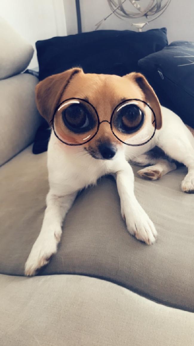 Alien de Kepler 452B