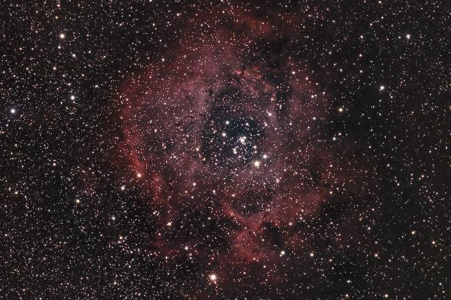NGC2244 - Nébuleuse de la Rosette