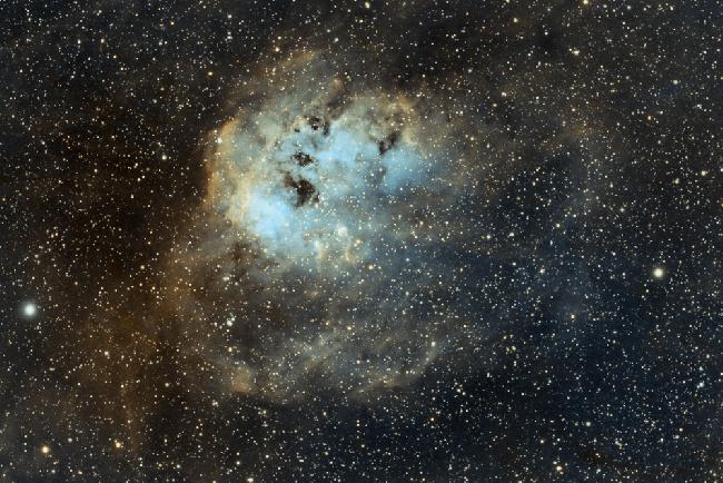 IC410 - la nébuleuse des tétards