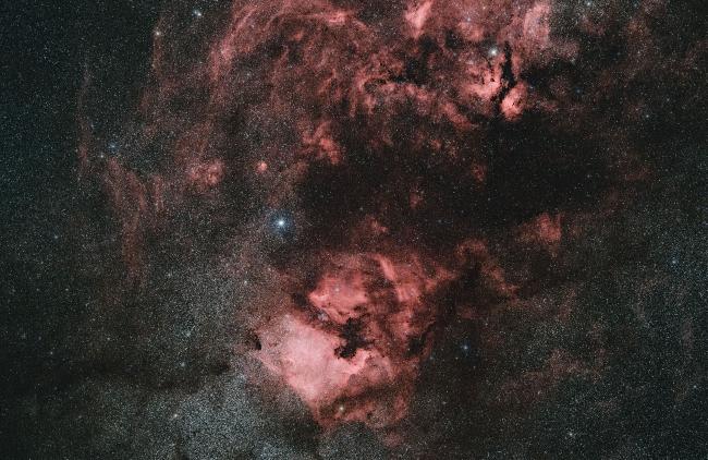 Un bout du Cygne à 80 mm