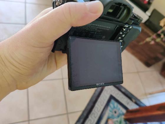 Sony a7s défiltré Astrodon Inside