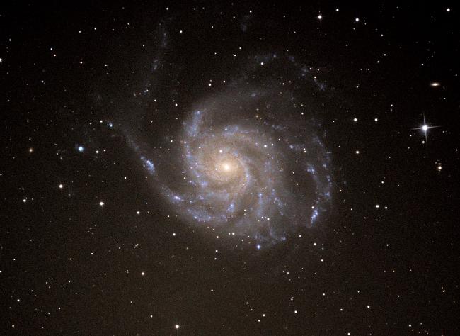 M 101