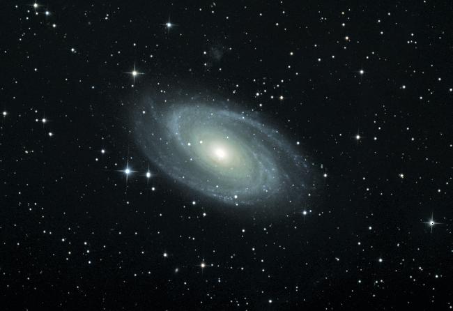 M 81