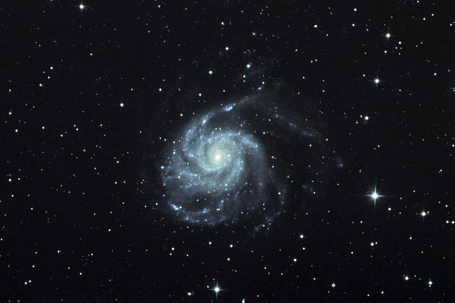 M 101