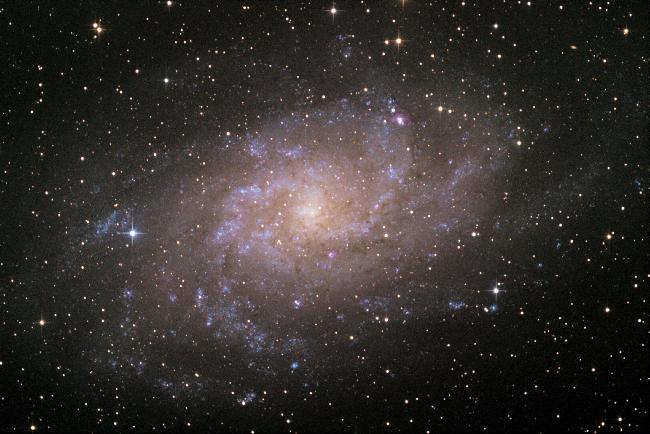 M 33