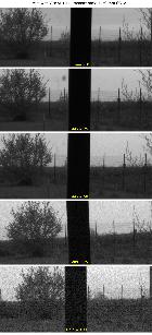 QHY5III 174 M Gain 90