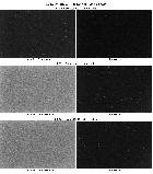 QHYCCD - longue-pose