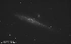NGC431-Baleine