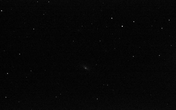 brute-NGC7331