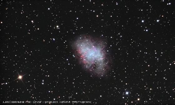 M1- colorisée Papilain