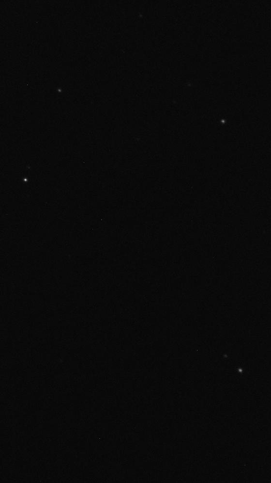 Brute-Tete cheval - 1_5 sec