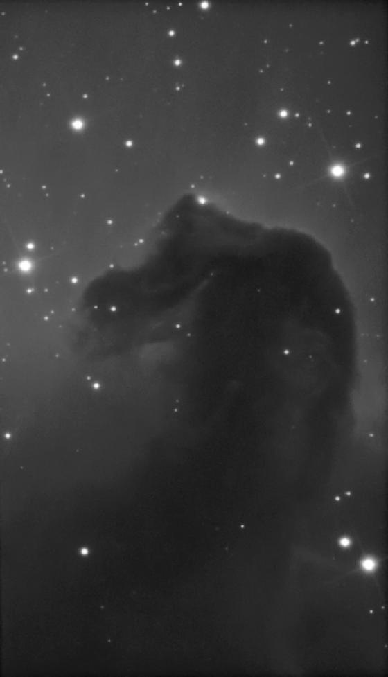 Tete de cheval T300 2017