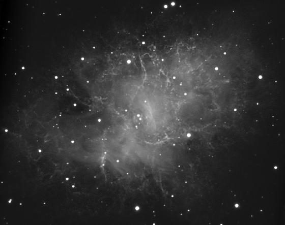 M1-img_anim-1er_10_12_016