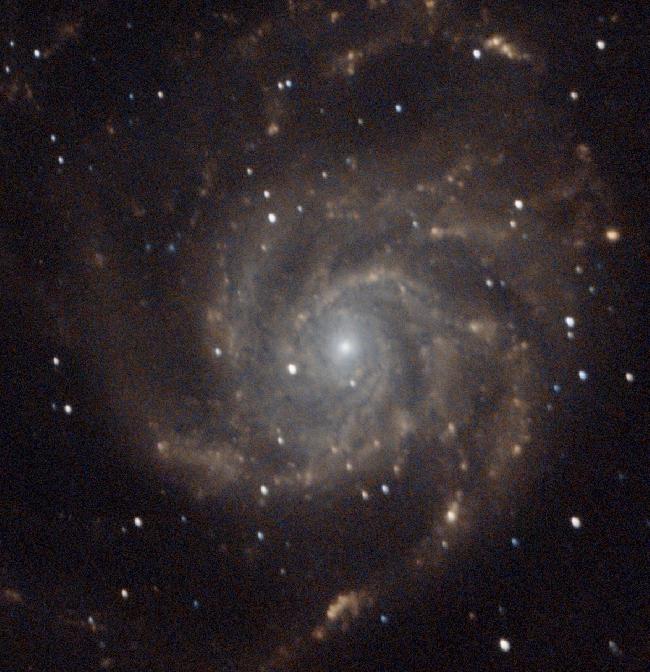 m101