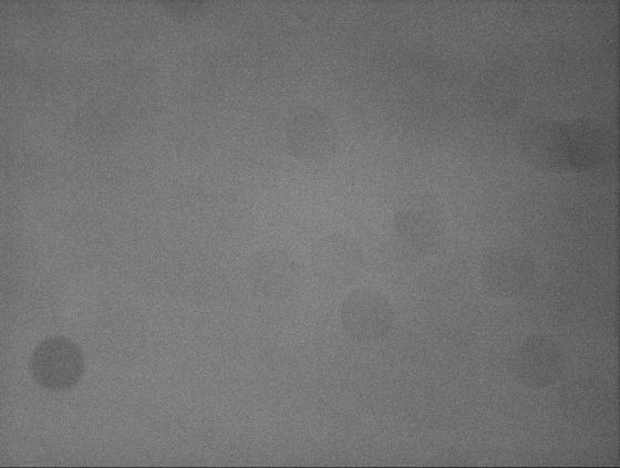 flat Halpha 3nm chroma bon sens