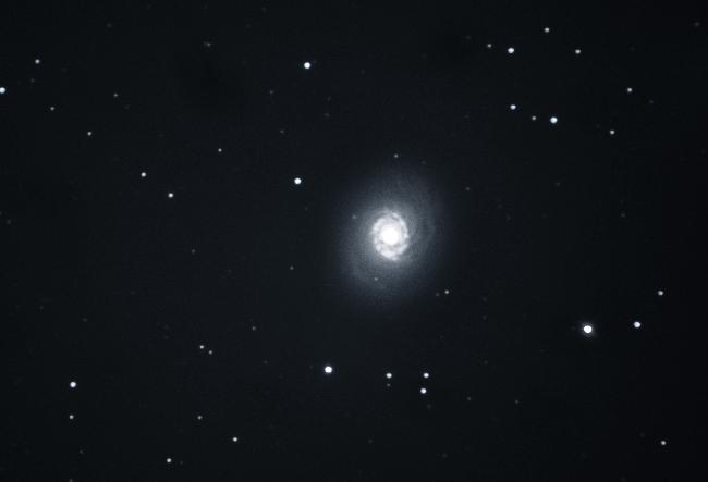 M94