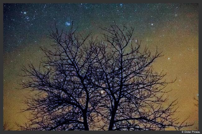 Pléiades et Hyades dans la brume