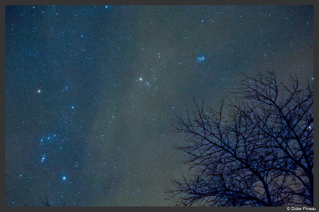 Pléiades, Hyades et Orion dans la brume