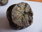 Meteorite 4
