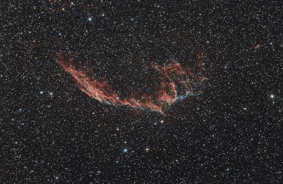 Newton ts UNC Carbon