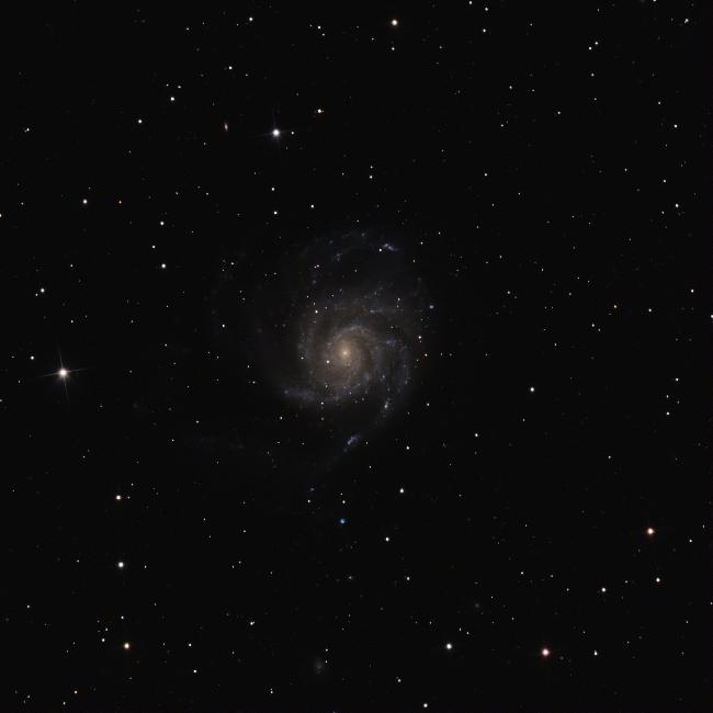 M101