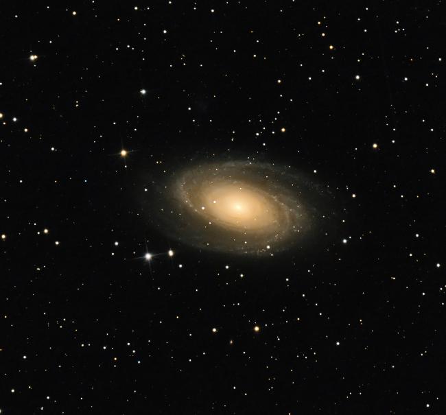 M81