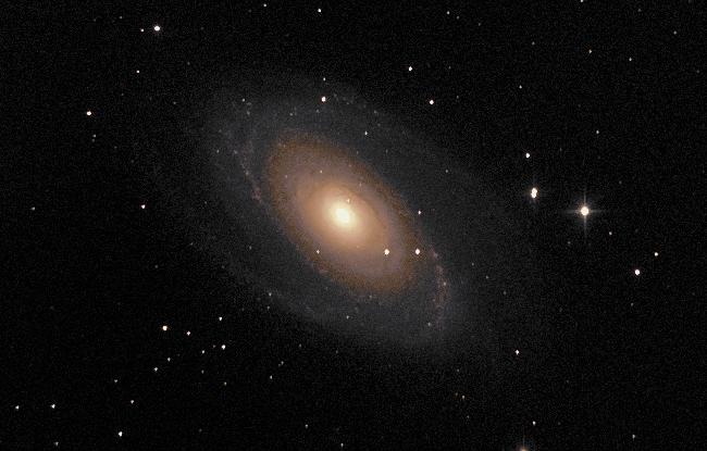 M81