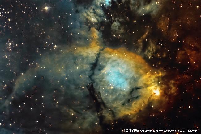 IC 1795