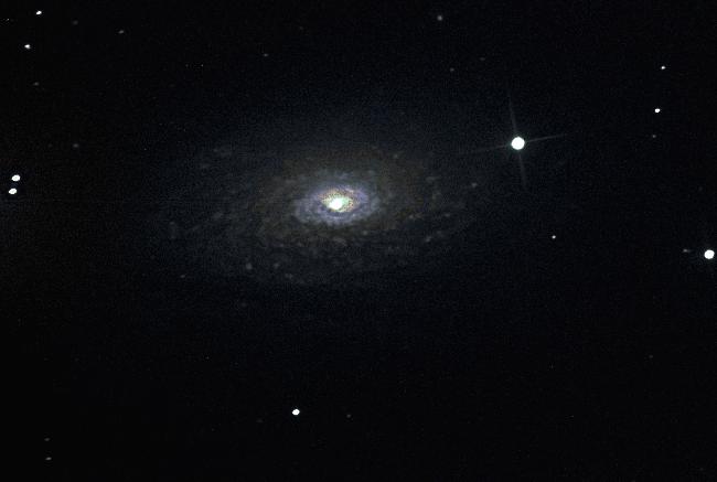 M63