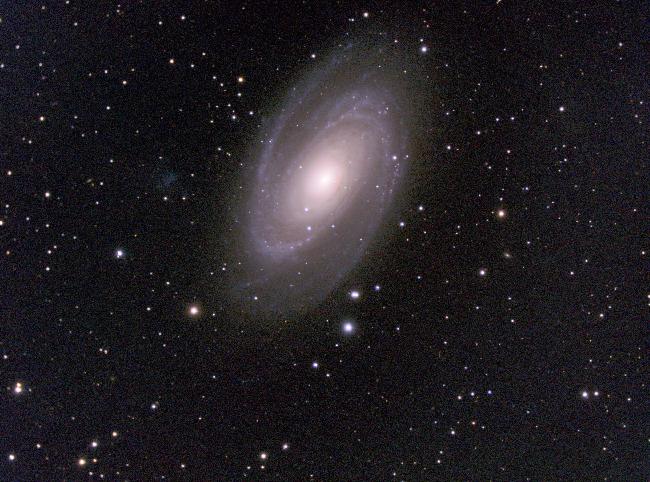M 81