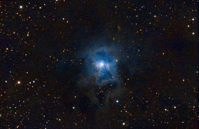 NGC 7023 - Nébuleuse de l'iris