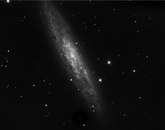 NGC253